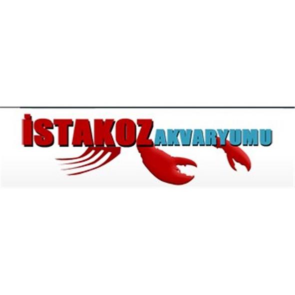 İstakoz Akvaryumu