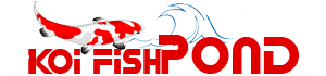 Koi Havuzu